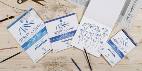 Dession for Sketching