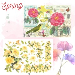 Ανοιξιάτικα Ριζόχαρτα