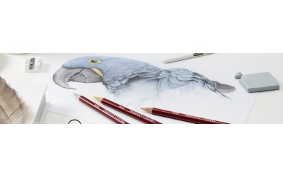 Συμβουλές για ακόνισμα μολυβιών Pastel με τον Martin Aveling