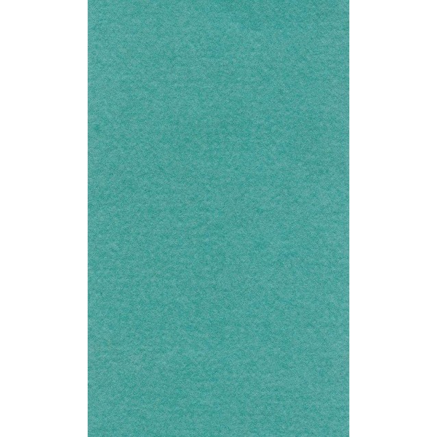 Lana Χαρτί Σχεδίου 160gr 50x65cm Mint