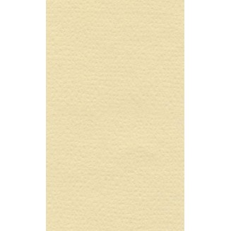 Lana Χαρτί Σχεδίου 160gr 50x65cm Cream