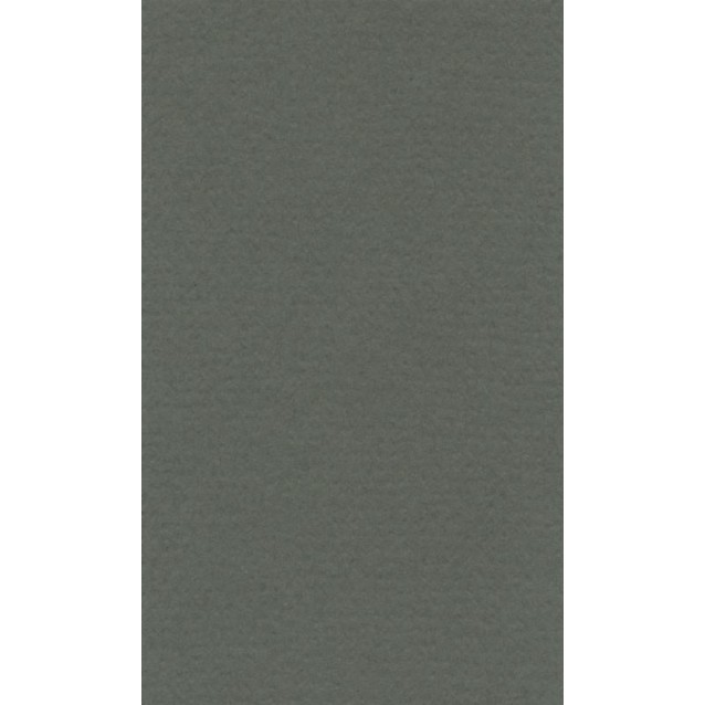 Lana Χαρτί Σχεδίου 160gr 50x65cm Ivy