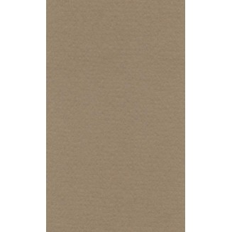 Lana Χαρτί Σχεδίου 160gr 50x65cm Brown