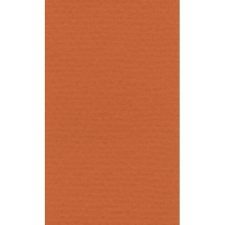 Lana Χαρτί Σχεδίου 160gr 50x65cm Orange