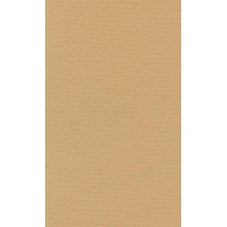 Lana Χαρτί Σχεδίου 160gr 70x100cm Sand