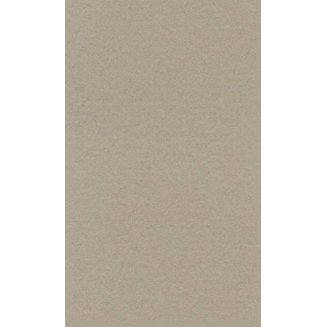 Lana Χαρτί Σχεδίου 160gr 70x100cm Pearl