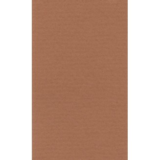 Lana Χαρτί Σχεδίου 160gr 70x100cm Ochre