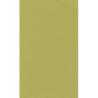Lana Χαρτί Σχεδίου 160gr A4 (21x29,7cm) Pistachio