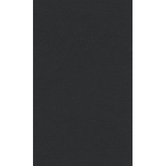 Lana Χαρτί Σχεδίου 160gr A4 (21x29,7cm) Black