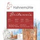 Hahnemuhle Μπλοκ Ακουαρέλας Britannia 30 φύλλων 40x40cm 300gr Ματ