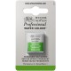Winsor & Newton Half Pan Ακουαρέλας Professional 503 Permanent Sap Green Series 1