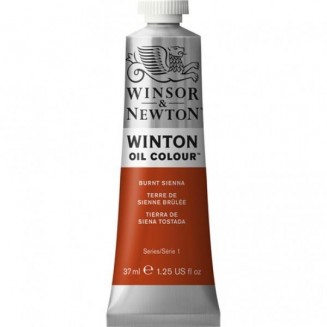 Winsor & Newton 37ml Winton Oil Burnt Sienna