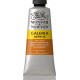 Winsor & Newton 60ml Galeria Acrylic Burnt Sienna