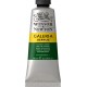 Winsor & Newton 60ml Galeria Acrylic Hookers Green