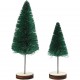 5 Κωνοφόρα Δέντρα 4 & 6cm