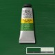 Winsor & Newton 60ml Galeria Acrylic Sap Green
