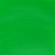 Winsor & Newton 60ml Galeria Acrylic Permanent Green Light