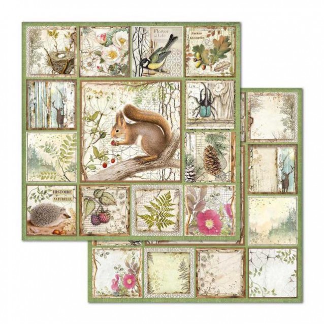 Stamperia Χαρτί Scrapbooking 30,5x30,5cm Διπλής Όψης Framed Squirrel