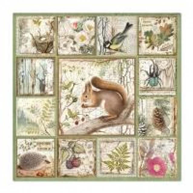 Stamperia 10 Χαρτιά Scrapbooking 30,5x30,5cm Διπλής Όψης Old Forest