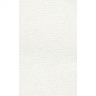 Lana Χαρτί Σχεδίου 160gr 70x100cm White