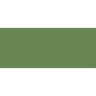 Solo Goya 100ml Acrylic Foliage Green