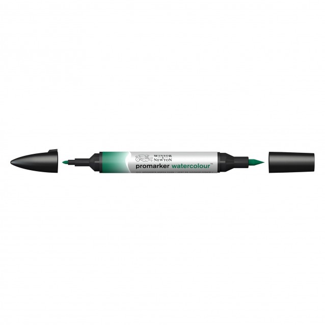 Winsor & Newton Μαρκαδόρος Promarker Watercolour 312 Hookers Green Dark