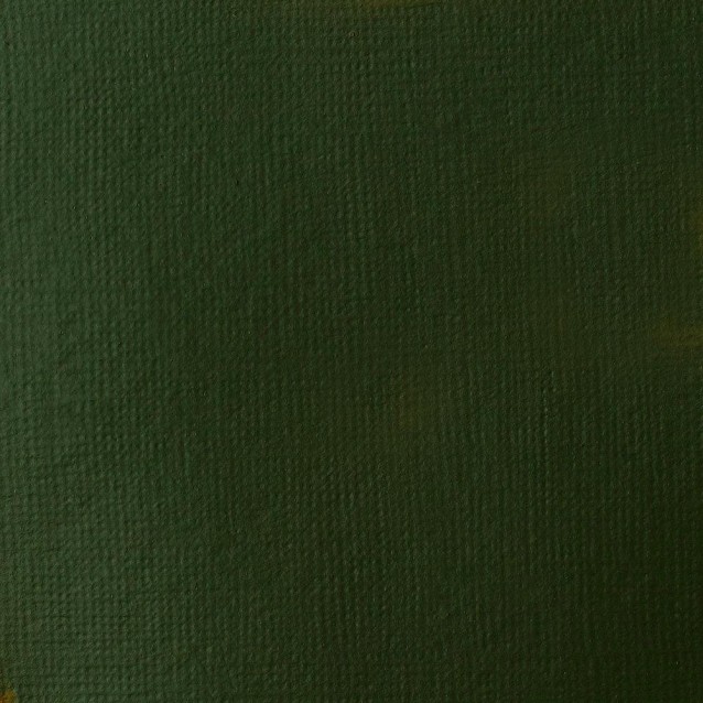 Liquitex Basics 118ml Acrylic 224 Hookers Green Hue