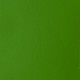 Liquitex Basics 118ml Acrylic 312 Green Light Permanent