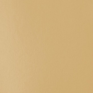 Liquitex Basics 118ml Acrylic 434 Unbleached Titanium