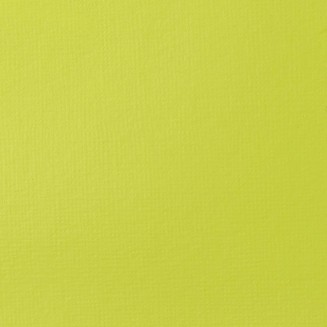 Liquitex Basics 118ml Acrylic 840 Brilliant Yellow Green