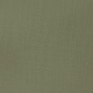 Liquitex Basics 118ml Acrylic 205 Green Gray
