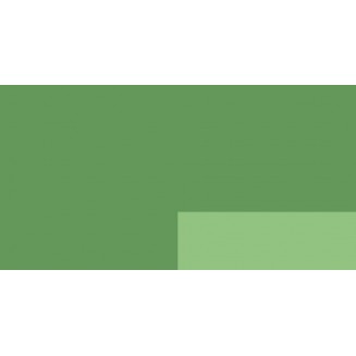 Lefranc & Bourgeois 125ml Flashe Acrylic 558 Brilliant Green Series 1