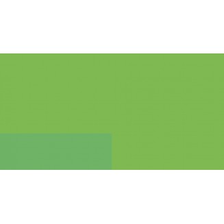 Lefranc & Bourgeois 125ml Flashe Acrylic 565 Fluorescent Green Series 3