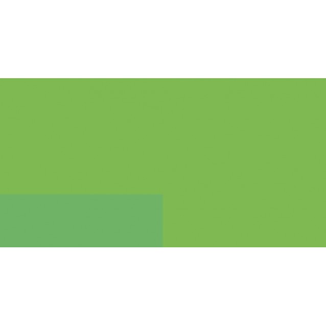 Lefranc & Bourgeois 125ml Flashe Acrylic 565 Fluorescent Green Series 3