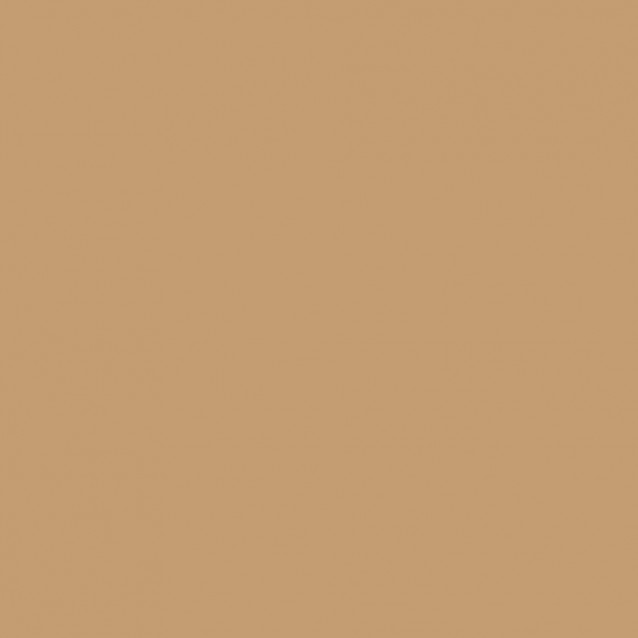 Winsor & Newton Μαρκαδόρος Promarker O727 Caramel