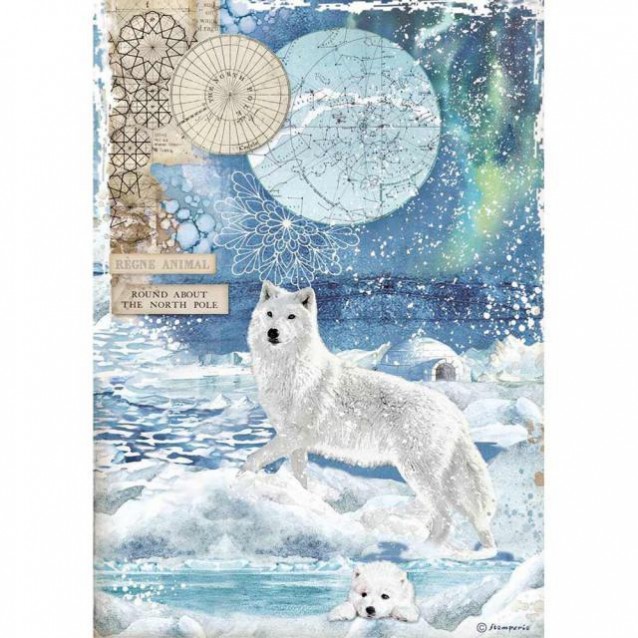 Stamperia Ριζόχαρτο Decoupage A4 (21x29,7cm) Wolf