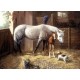 Royal & Langnickel Ζωγραφική με Νούμερα 30x40cm Στάβλος με Άλογα