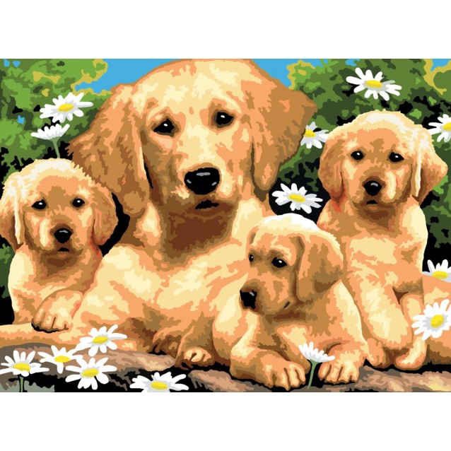 Royal & Langnickel Ζωγραφική με Νούμερα 30x40cm Golden Retrievers