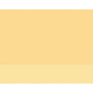 Lefranc & Bourgeois 40ml Artists Oil 887 Series 2 Naples Yellow Light