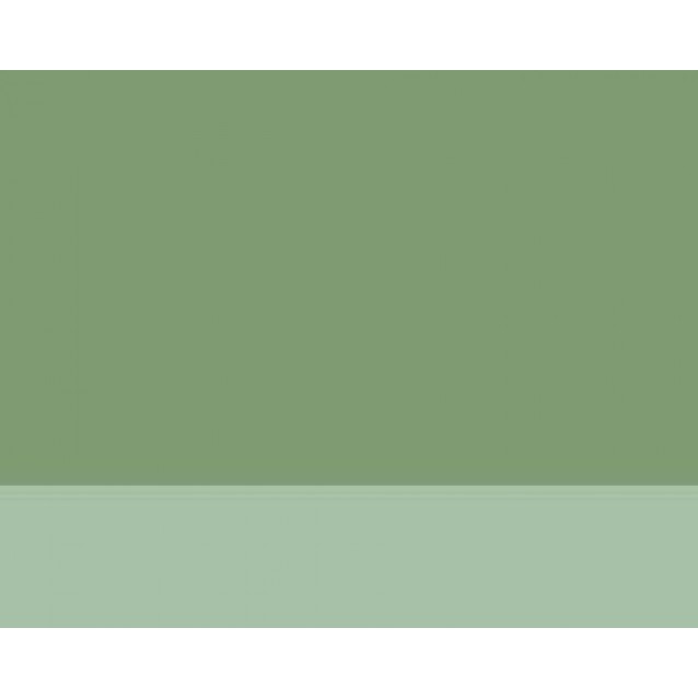 Lefranc & Bourgeois 40ml Artists Oil 483 Series 1 Terre Verte