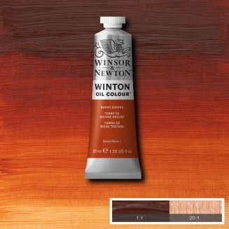 Winsor & Newton 37ml Winton Oil Burnt Sienna