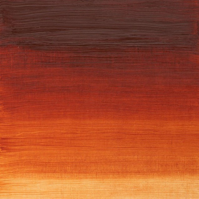 Winsor & Newton 37ml Winton Oil Burnt Sienna