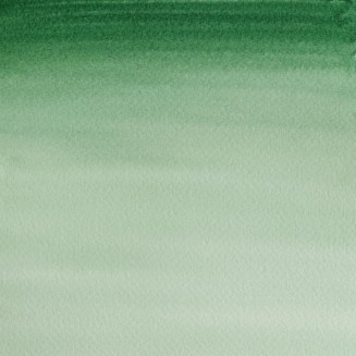 Winsor & Newton Half Pan Ακουαρέλας Cotman 312 Hookers Green Dark Series 1