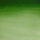 Winsor & Newton Half Pan Ακουαρέλας Cotman 314 Hookers Green Light Series 1