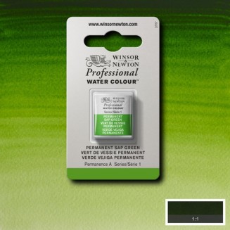 Winsor & Newton Half Pan Ακουαρέλας Professional 503 Permanent Sap Green Series 1