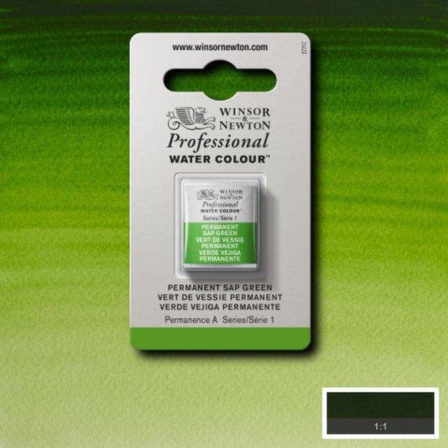 Winsor & Newton Half Pan Ακουαρέλας Professional 503 Permanent Sap Green Series 1