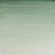 Winsor & Newton Half Pan Ακουαρέλας Professional 637 Terre Verte Series 1