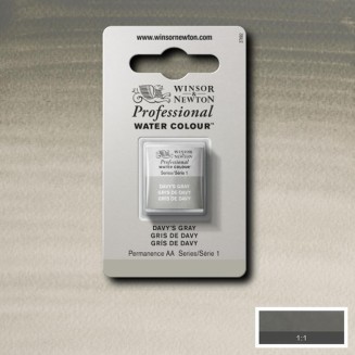 Winsor & Newton Half Pan Ακουαρέλας Professional 217 Davys Grey