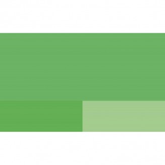 Lefranc & Bourgeois 80ml Fine Acrylic 556 Light Green Serie 1