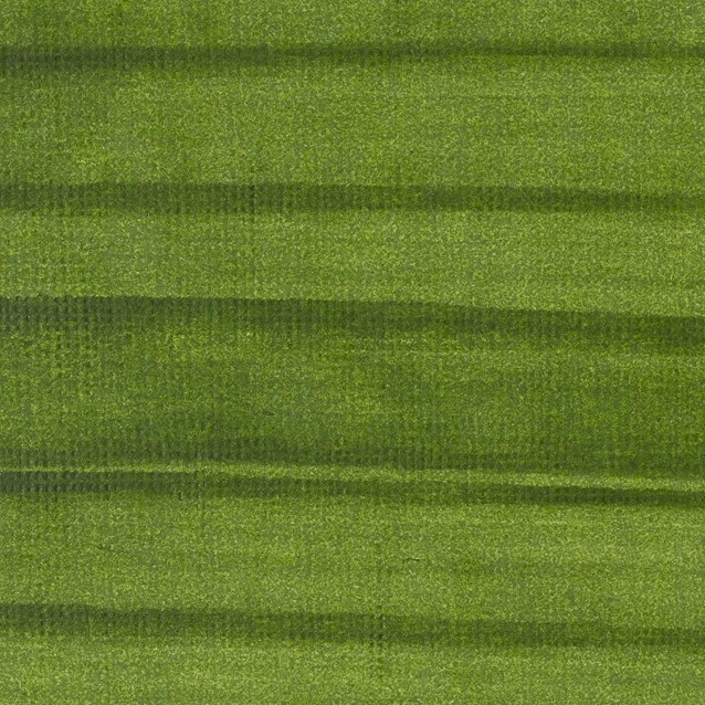 Liquitex Professional Ακρυλικός Μαρκαδόρος 15mm Hooker Green